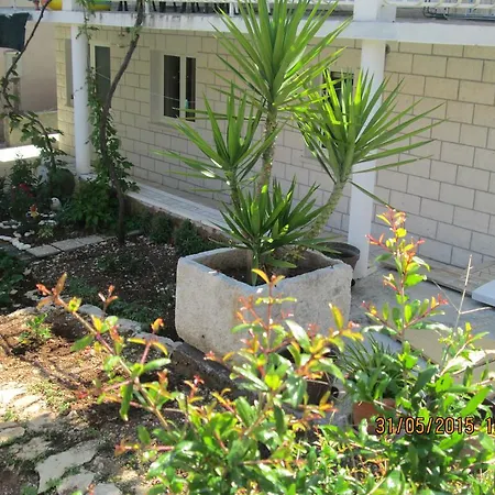 Paula * Korcula Town