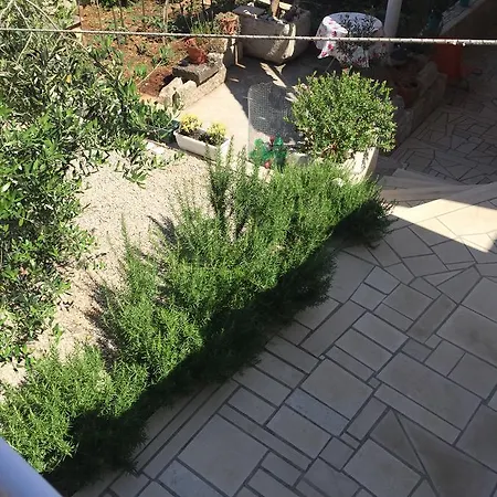 Paula Apartament